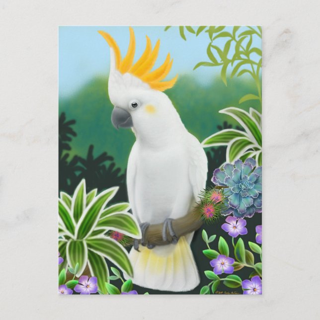 Citron Cockatoo Postcard (Front)