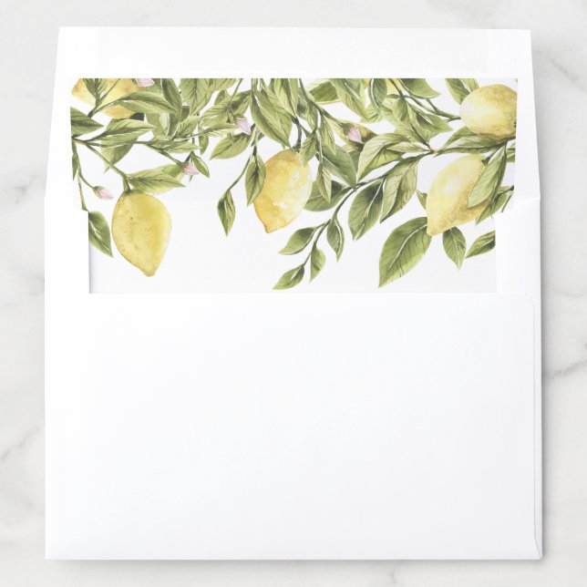 CITRON Lemon Citrus Envelope Liner Insert (In Envelope)