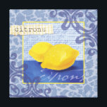 Citrons/Lemons Wall Decor<br><div class="desc">©Fiona Stokes Gilbert</div>