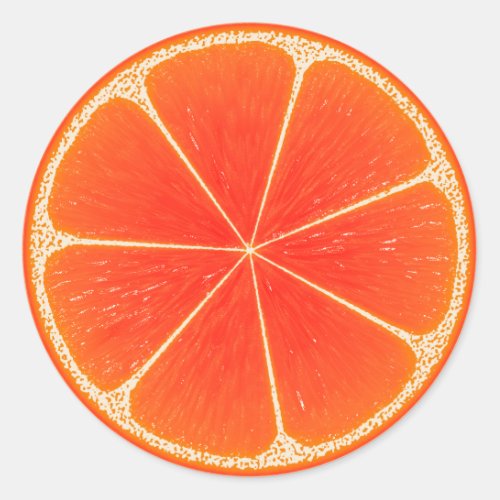 Citrus Blood Orange Fruit Slice Classic Round Sticker