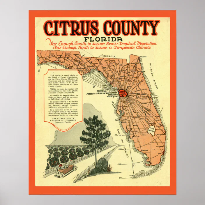 Citrus County Florida Map Citrus County Florida Vintage Poster | Zazzle.com