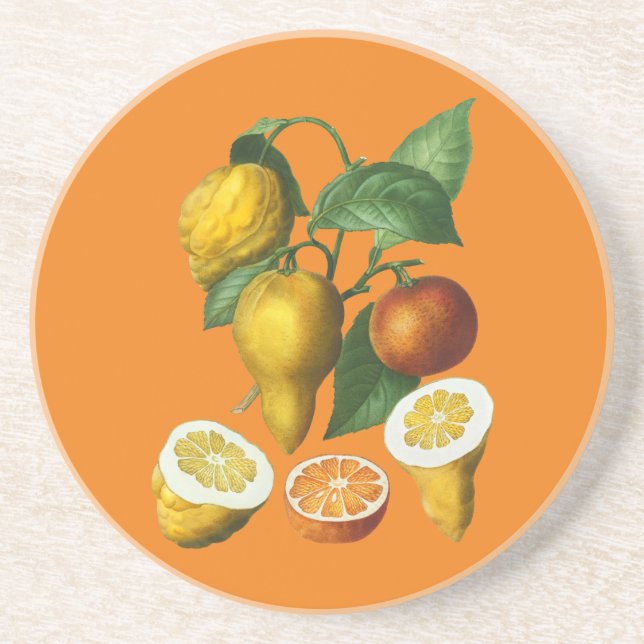 CITRUS FRUIT   COASTER (Front)