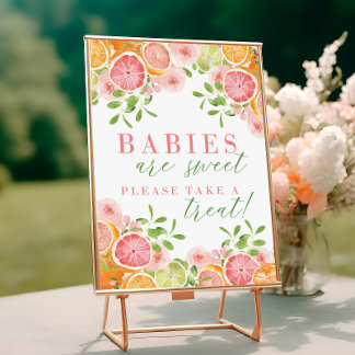 Citrus Fruit & Flowers Baby Shower Favors Sign
