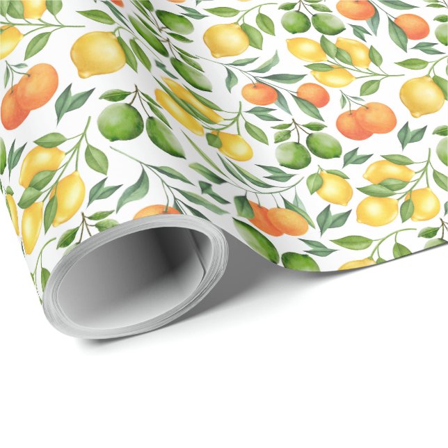 Citrus Fruit Gift Wrapping Paper (Roll Corner)