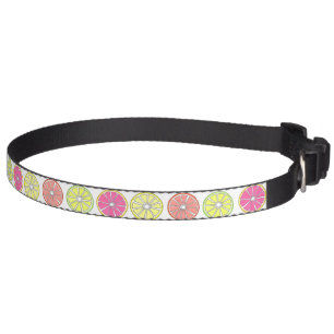 Citrus Fruit (Grapefruit Lemon Lime Orange) Collar