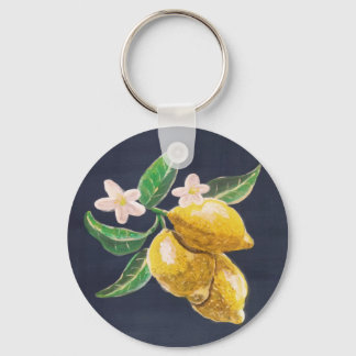 citrus fruit keychain