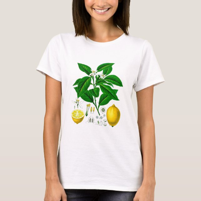 Citrus Fruit Lemon Botanical Print no. 7 Art T-Shirt (Front)