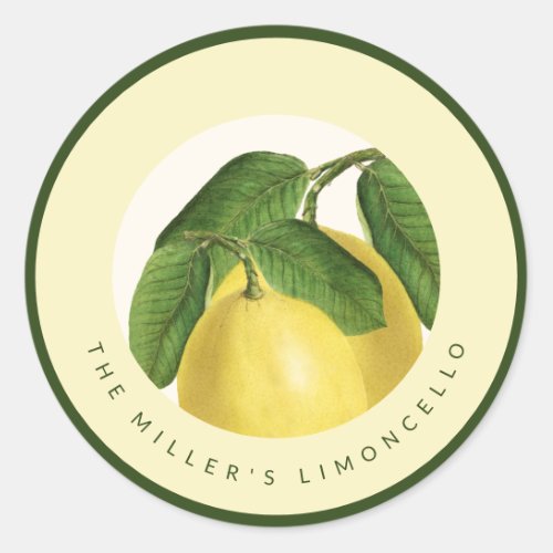 Citrus Fruit  Lemons  Homemade Limoncello Classic Round Sticker