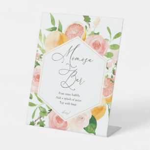 Citrus Fruit Momosa Bar Sign