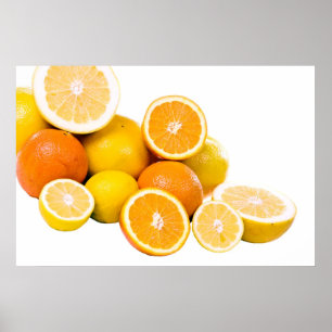 citrus fruit poster