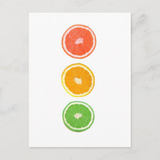citrus fruit slice postcard