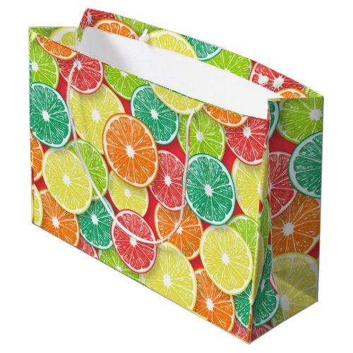 Citrus fruit slices pop art 2 large gift bag