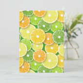 Citrus fruit slices pop art 3 (Standing Front)