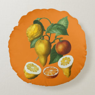 CITRUS FRUIT THROW PILLOW