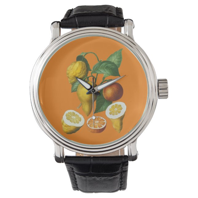 CITRUS FRUIT WATCH (Front)