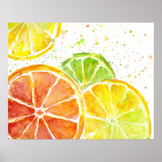 Citrus Fruit Watercolor Art Print Poster