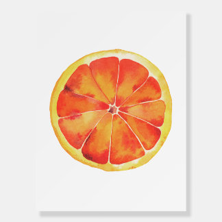 Citrus, Fruit Watercolor Foam Board