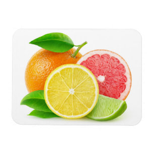 Citrus fruits magnet