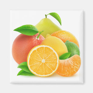 Citrus fruits magnet