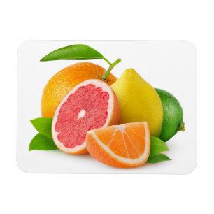 Citrus fruits magnet