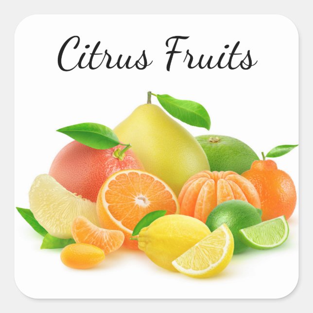 Citrus Fruits Square Sticker (Front)