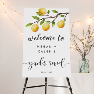 Citrus Lemon Gender Reveal Party Welcome Sign
