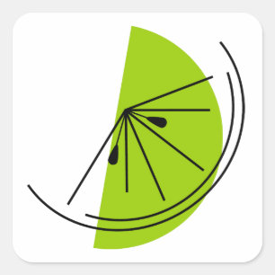 Citrus Lime square Square Sticker