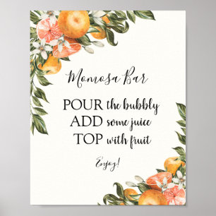 Citrus Momosa Bar Drink Sign