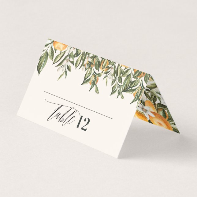 Citrus orange botanical modern rustic place card (Front)