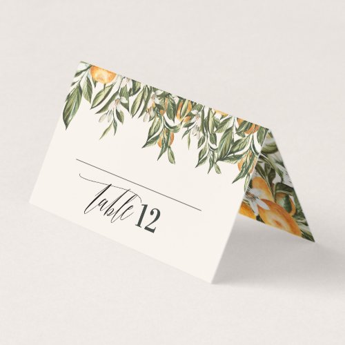 Citrus orange botanical modern rustic place card