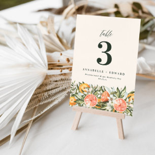 Citrus orange botanical modern rustic table number