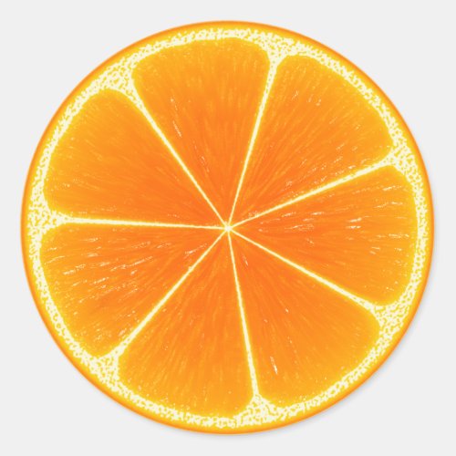 Citrus Orange Fruit Slice Classic Round Sticker