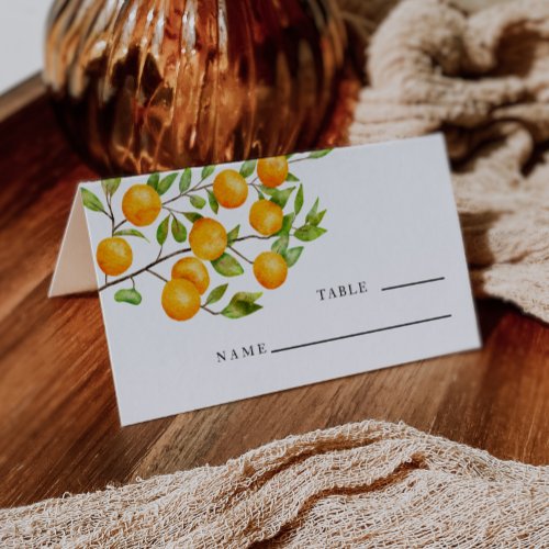 Citrus Orange Wedding Table Number  Place Card