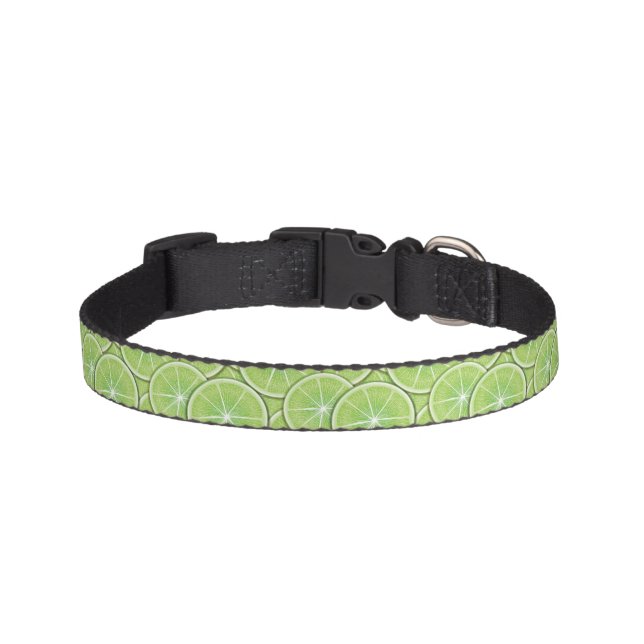 Citrus Pattern Pet Collar (Front)