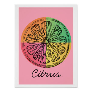 Citrus Poster