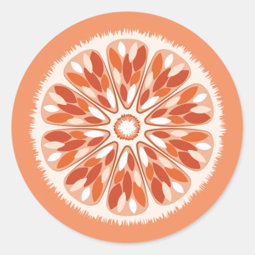 Citrus Slices Orange Classic Round Sticker