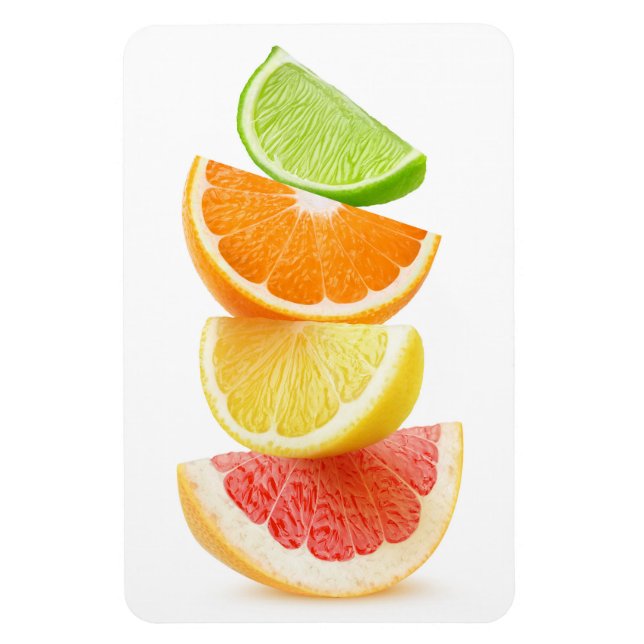 Citrus slices pyramid magnet (Vertical)