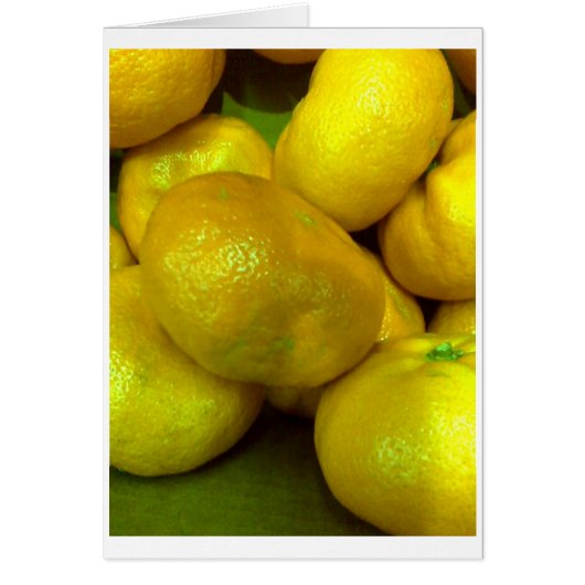 Citrus Squash Cards (Front)