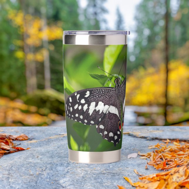Citrus Swallowtail Butterfly in Garden Insulated Tumbler (Outdoor)