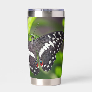 Citrus Swallowtail Butterfly in Garden Insulated Tumbler