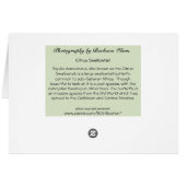 Citrus Swallowtail, Cards (Back Horizontal)