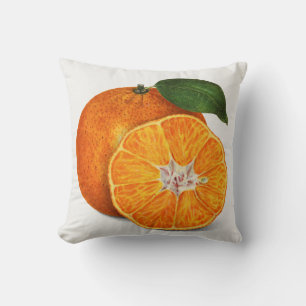 Citrus Throw Pillow