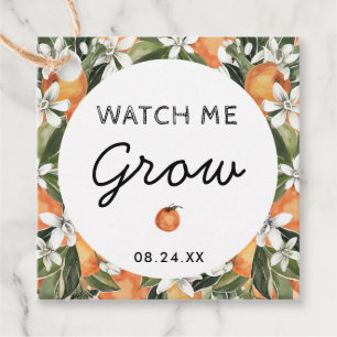 Citrus Watch Me Grow Succulent Favors Thank You Favor Tags