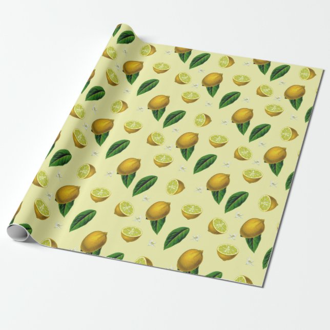 Citrus Wrapping Paper (Unrolled)