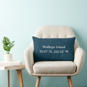 City Coordinates Throw Pillow Navy