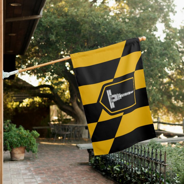 City Flag of Baltimore (Maryland, USA) (In SItu)