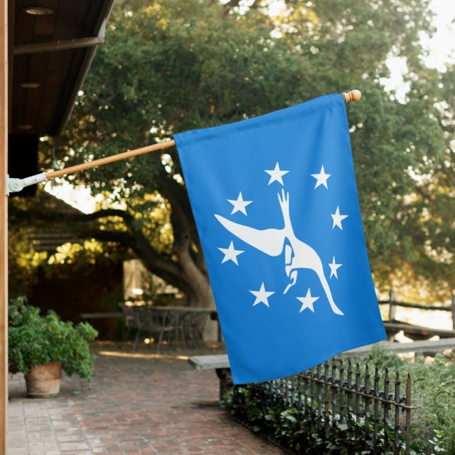 City Flag of Corpus Christi (Texas) (In SItu)