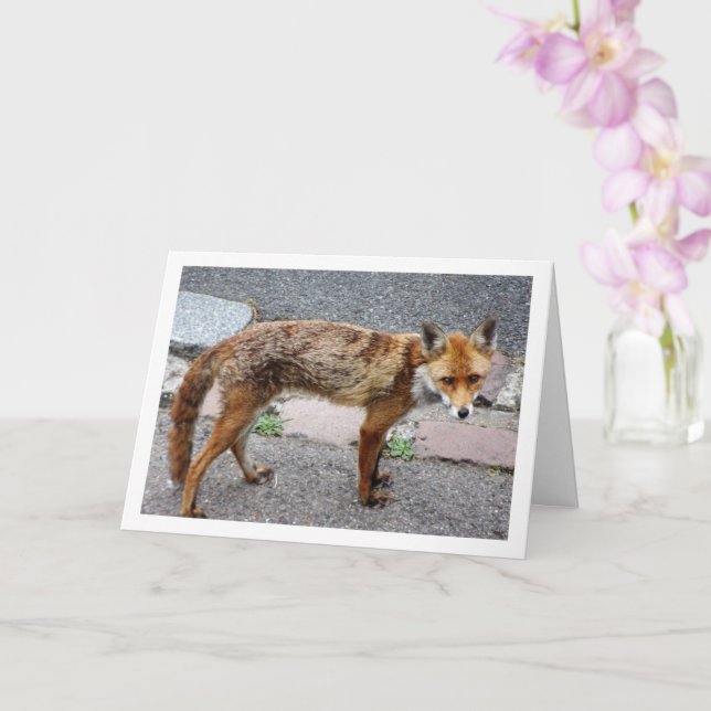 City Fox on Road Card (Orchid)