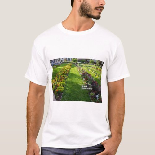 City Park Bloom Mens Tee Collection