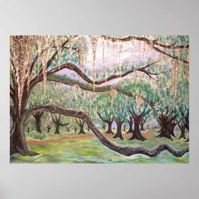 City Park Oak Trees Poster (Front)